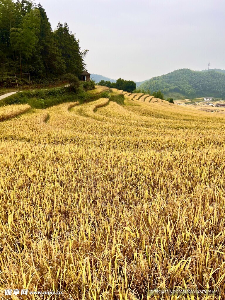 上堡梯田