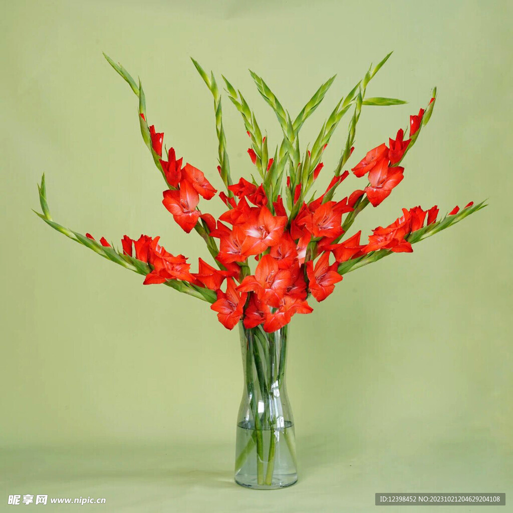 鲜花