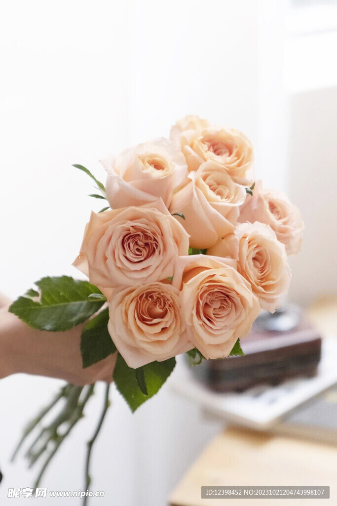 玫瑰花