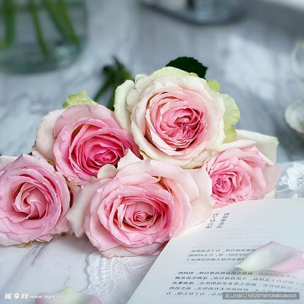 玫瑰花