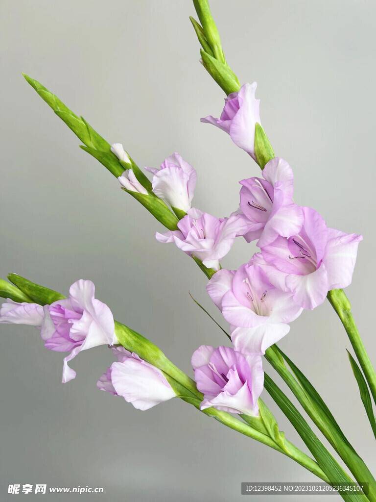 神印王座游戏