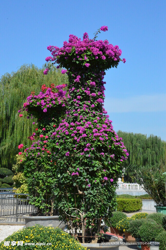  园林风景