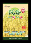 水稻海报