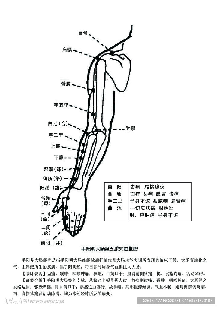 十二经脉