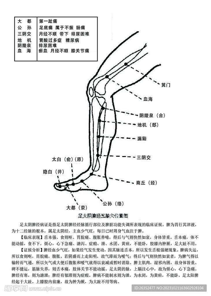 十二经脉