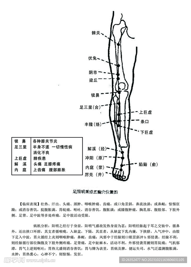 十二经脉