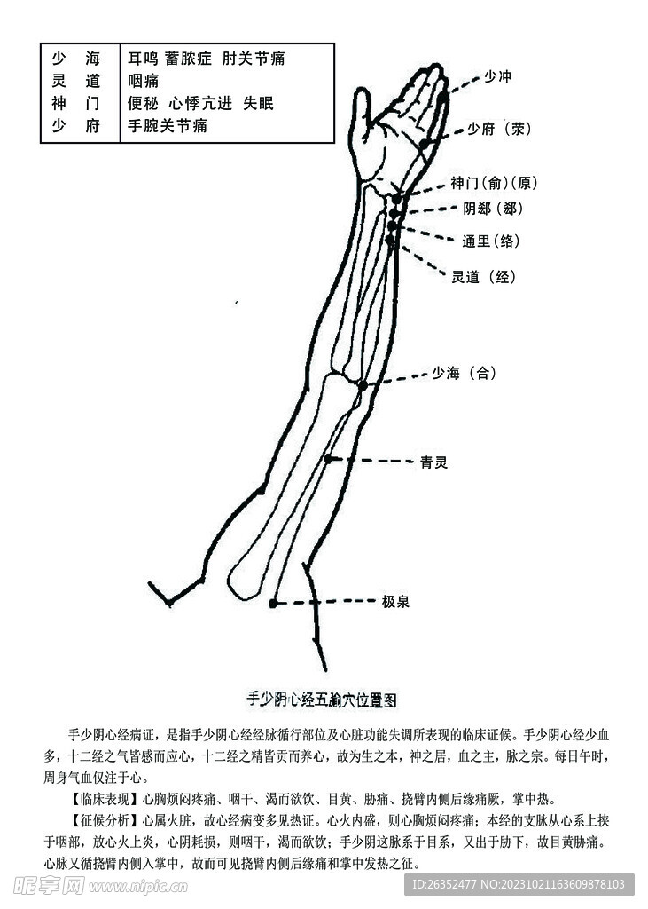 十二经脉