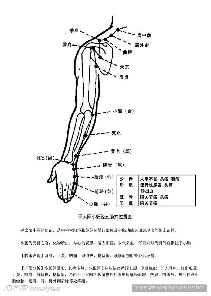 十二经脉