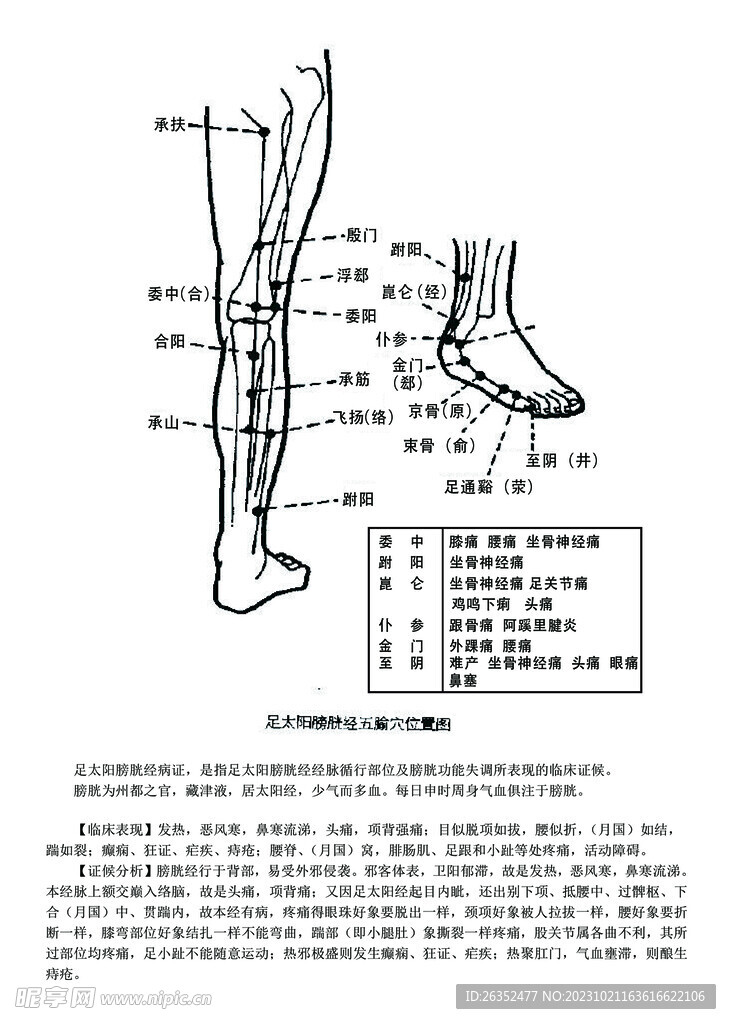 十二经脉