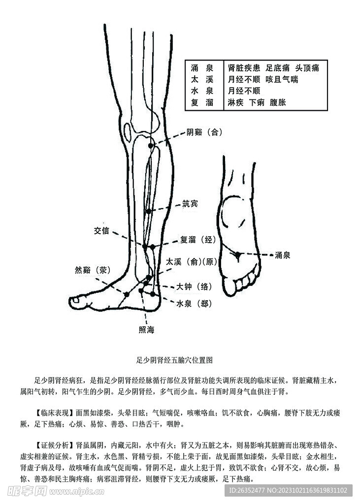 十二经脉