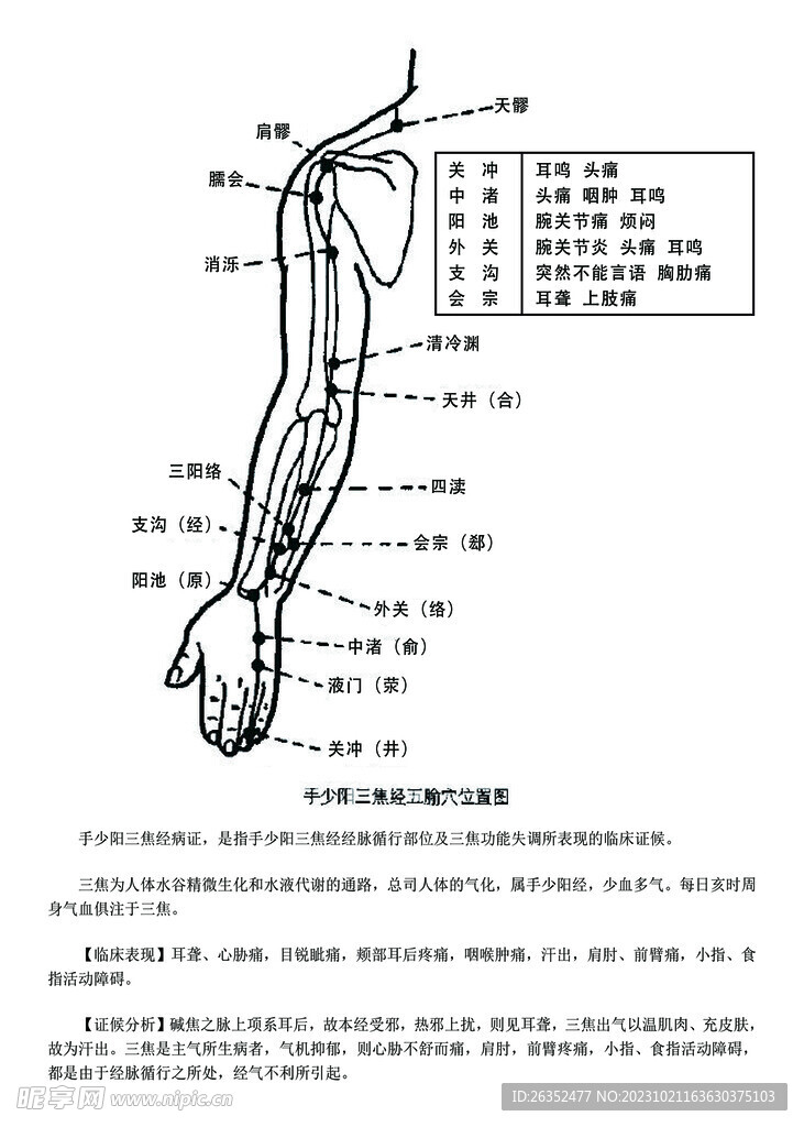 十二经脉