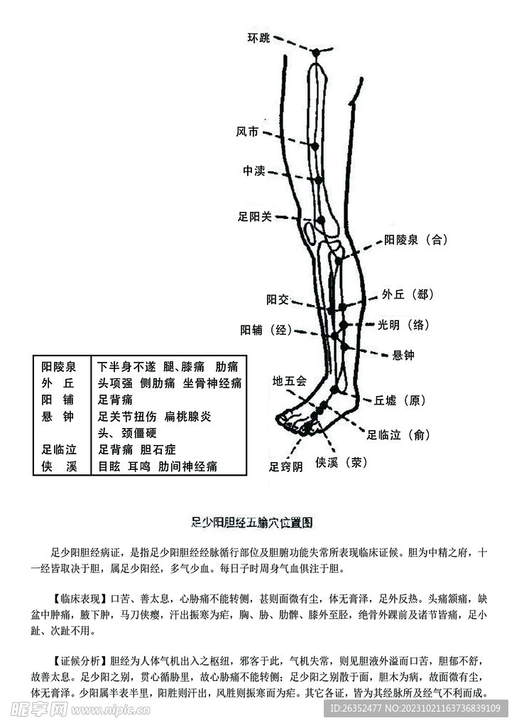 十二经脉