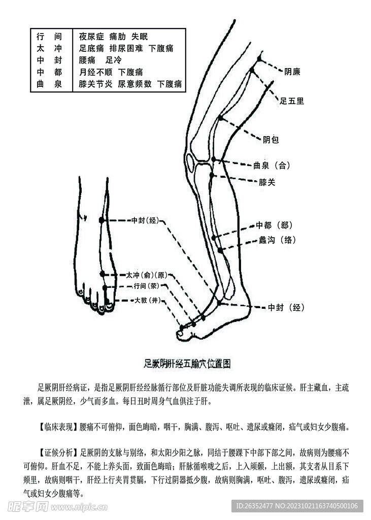 十二经脉