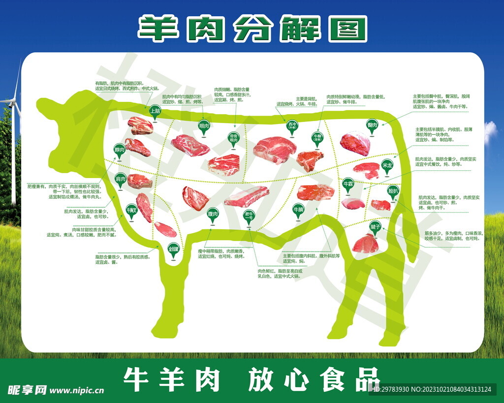 牛肉分解图