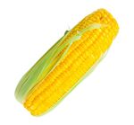 免抠玉米图片