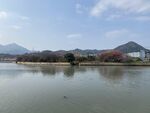 湿地公园