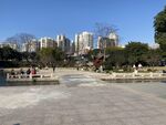 城市 公园