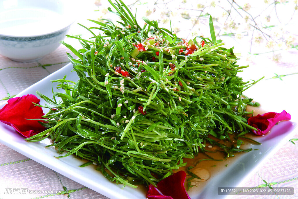 麻香草尖