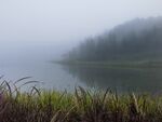 烟雨湖泊