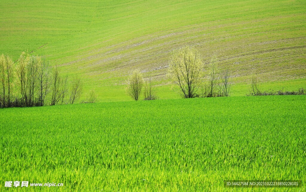 草原风景