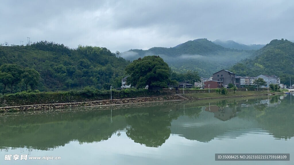 树木倒影 楠溪江