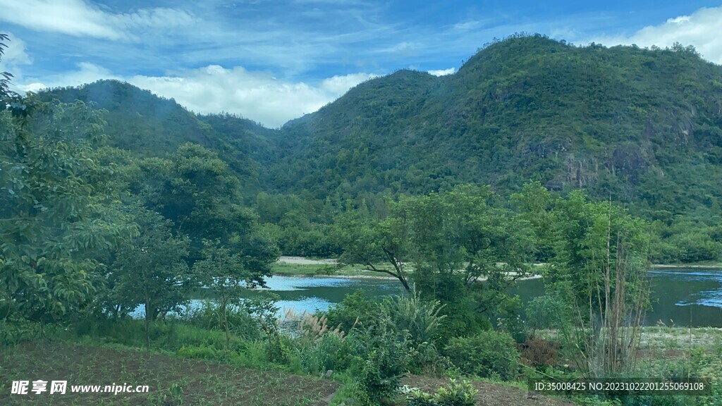 公园 绿植 树林 草丛 景观