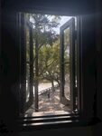 公园 绿植 树林 草丛 景观植