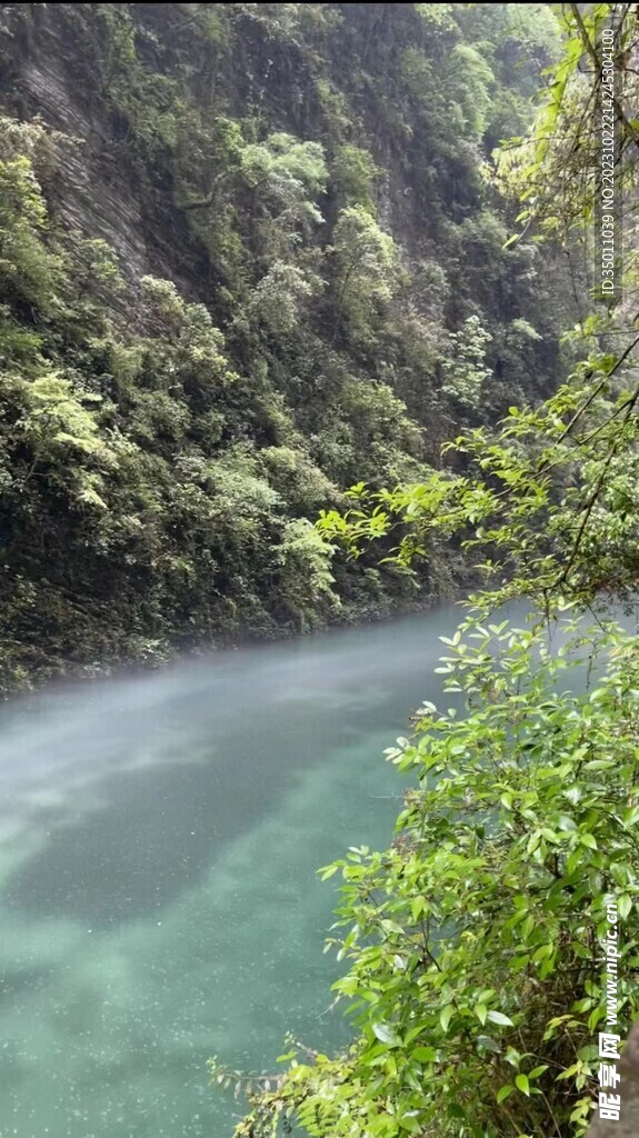 清清小溪