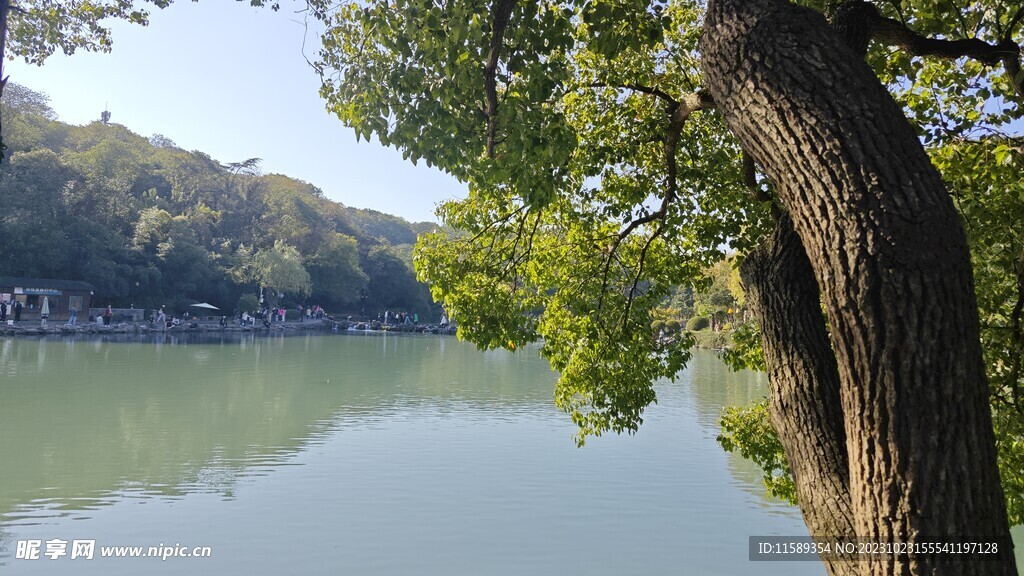 珍珠泉 风景