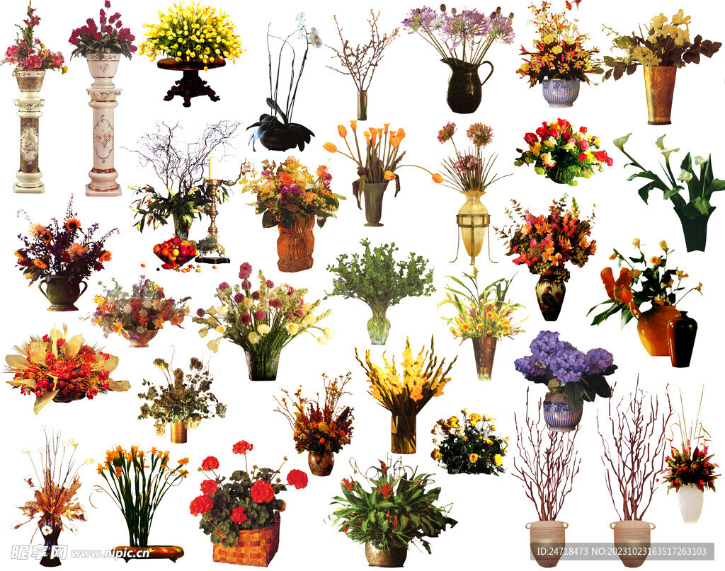 植物免抠图