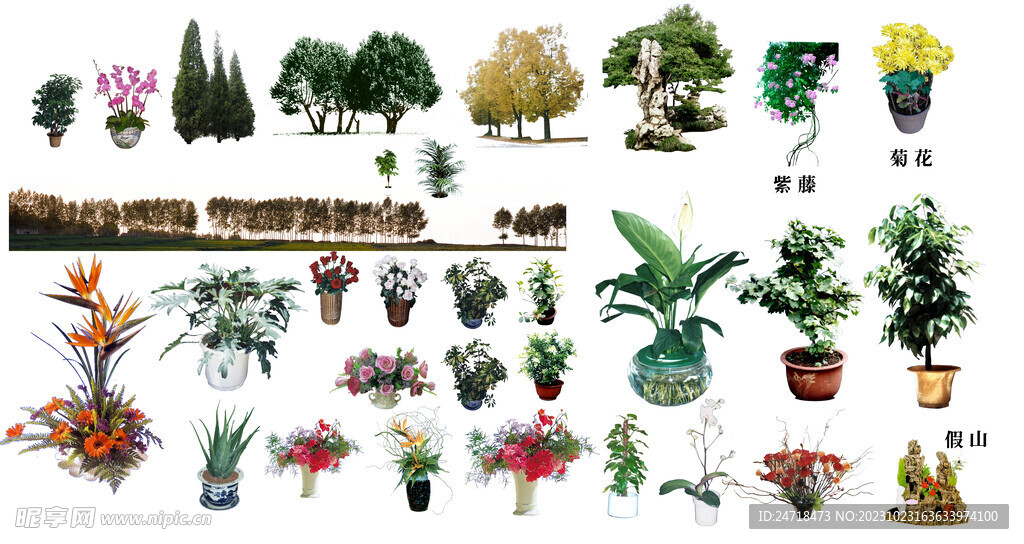 植物免抠图