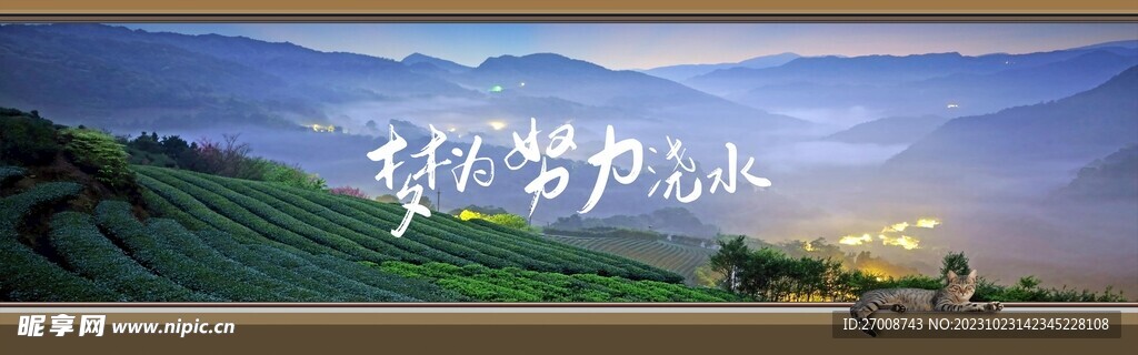 梦为努力浇水 