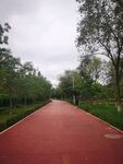 公园 跑道 蓝天白云