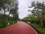 公园 跑道 蓝天白云