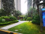 小区绿地  公园