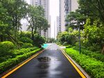 公园  小区绿地  雨后小区 