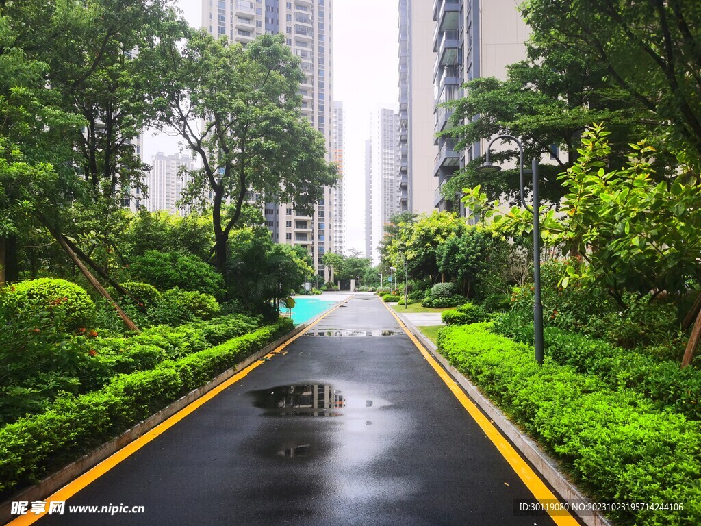 公园  小区绿地  雨后小区 