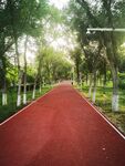 公园 风景 跑道，