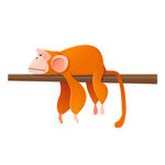 手绘卡通猴子
