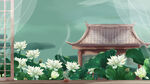 荷花背景