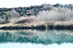 湖边树林风景