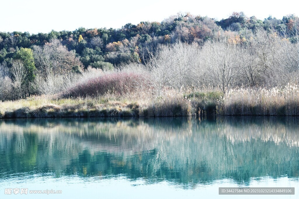 湖边树林风景