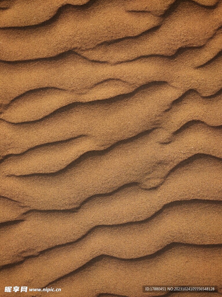 沙漠