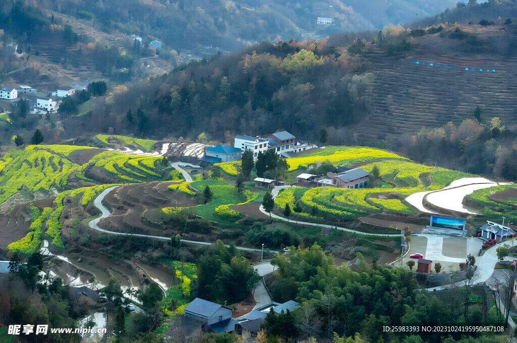梯田