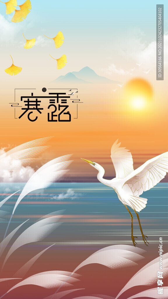 寒露