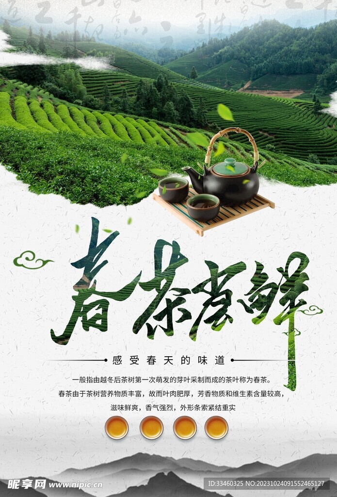 春茶尝鲜