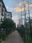 林荫小道