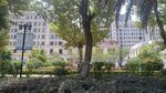小区绿化