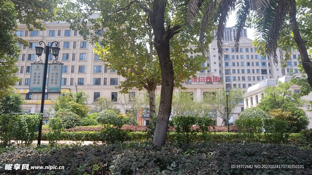 小区绿化