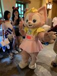 玩具熊